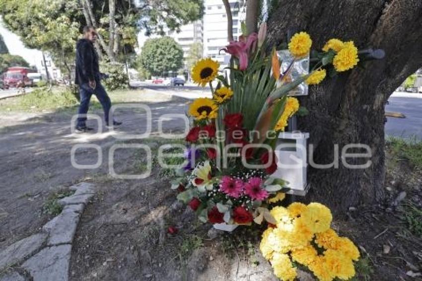 DÍA DE MUERTOS . ACCIDENTADOS