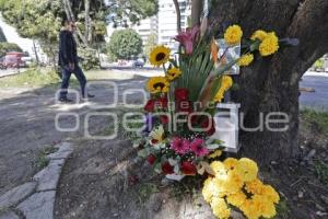 DÍA DE MUERTOS . ACCIDENTADOS