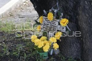 DÍA DE MUERTOS . ACCIDENTADOS 