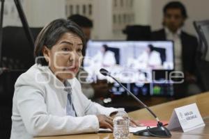 COMISIÓN DERECHOS HUMANOS . MARÍA LUISA NÚÑEZ