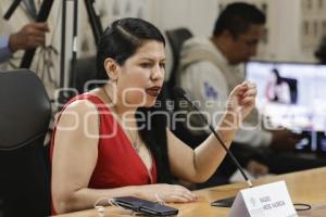 COMISIÓN DERECHOS HUMANOS . RAQUEL MEDEL