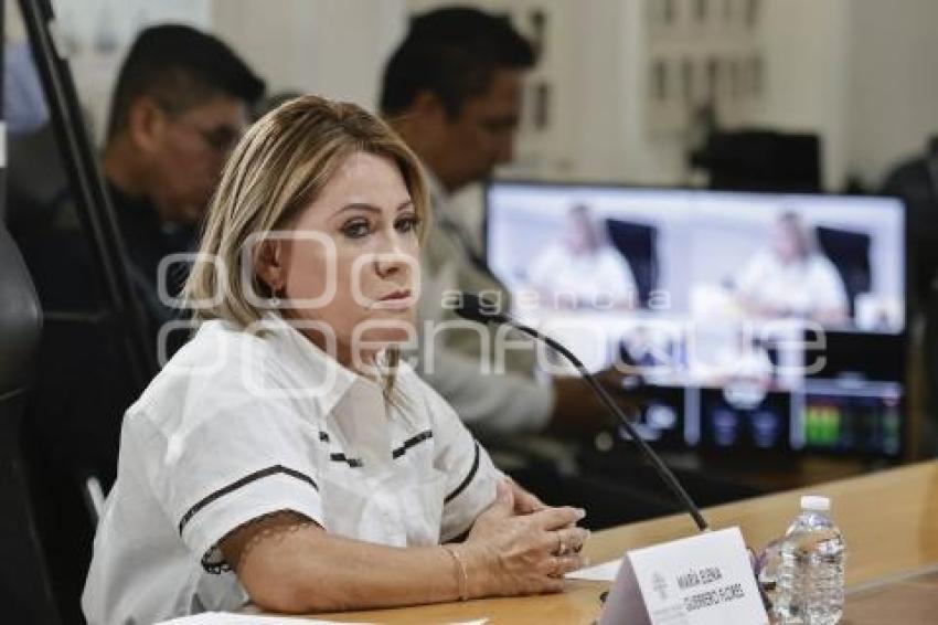 COMISIÓN DERECHOS HUMANOS . MARÍA ELENA GUERRERO