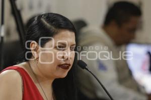 COMISIÓN DERECHOS HUMANOS . RAQUEL MEDEL