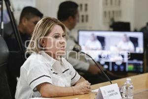 COMISIÓN DERECHOS HUMANOS . MARÍA ELENA GUERRERO