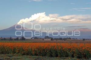 VOLCÁN POPOCATÉPETL