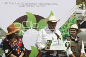 GOBIERNO ESTATAL . REFORESTACIÓN TLAHUAPAN