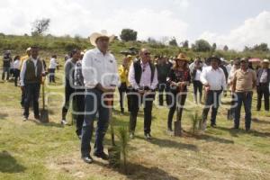 GOBIERNO ESTATAL . REFORESTACIÓN TLAHUAPAN