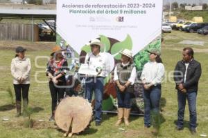 GOBIERNO ESTATAL . REFORESTACIÓN TLAHUAPAN