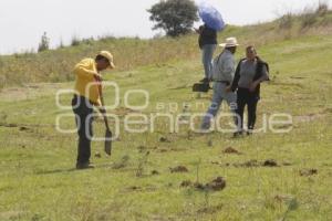GOBIERNO ESTATAL . REFORESTACIÓN TLAHUAPAN
