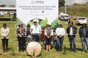 GOBIERNO ESTATAL . REFORESTACIÓN TLAHUAPAN
