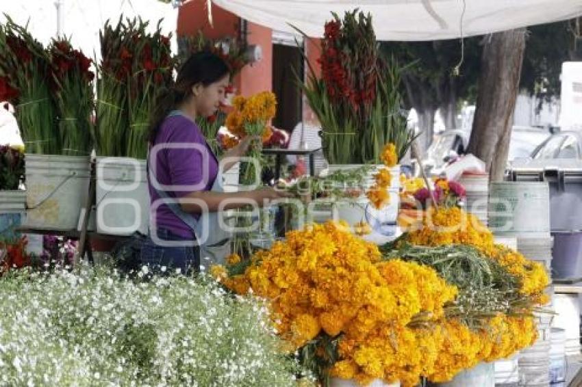 PANTEÓN . DÍA DE MUERTOS