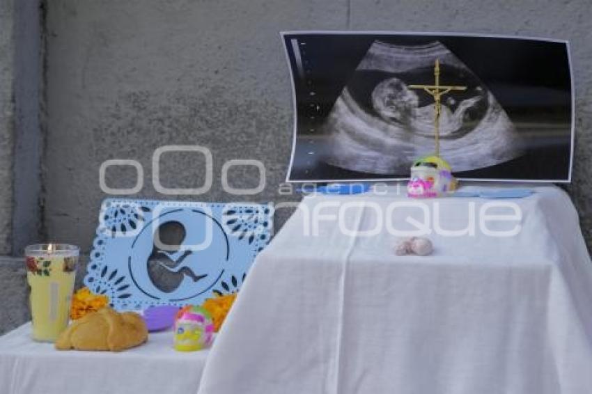 40 DÍAS POR LA VIDA . OFRENDA