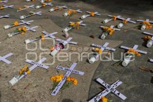 FEMINICIDIO . CRUCES