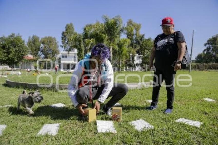 CEMENTERIO DE MASCOTAS