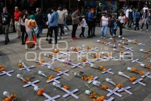 FEMINICIDIO . CRUCES