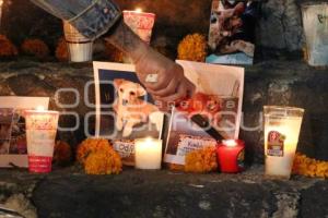 ATLIXCO . OFRENDA MASCOTAS