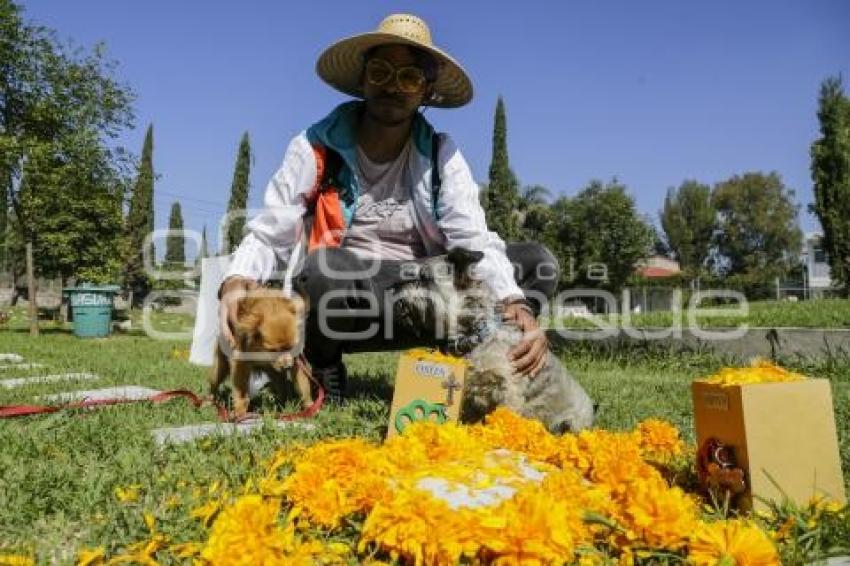 CEMENTERIO DE MASCOTAS