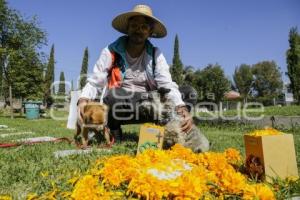 CEMENTERIO DE MASCOTAS