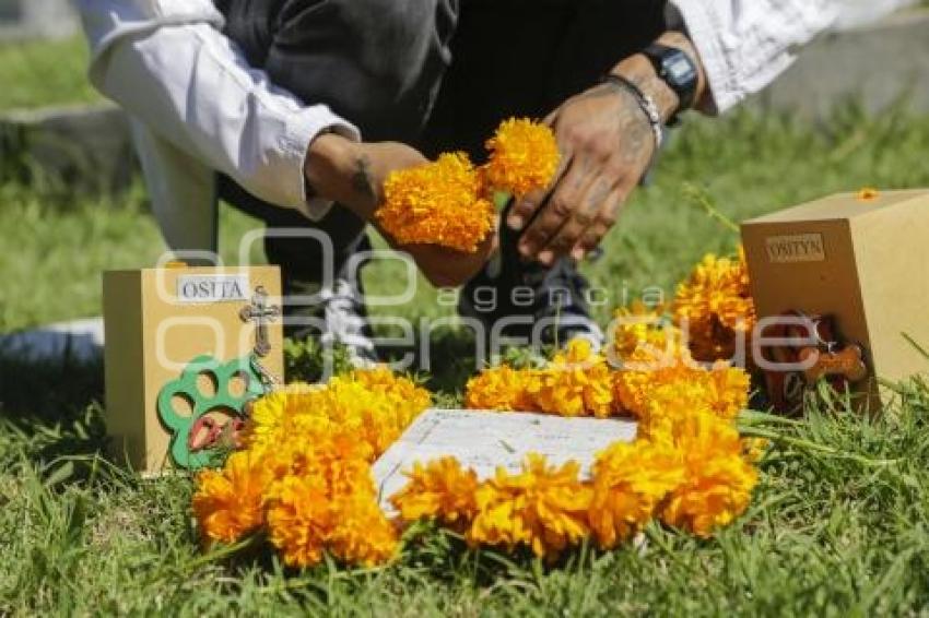 CEMENTERIO DE MASCOTAS
