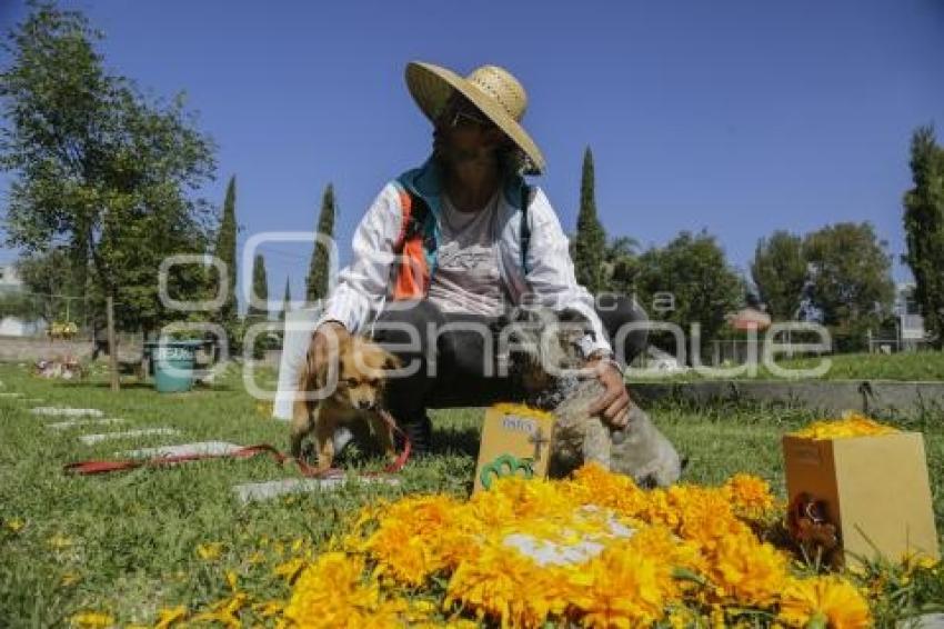 CEMENTERIO DE MASCOTAS