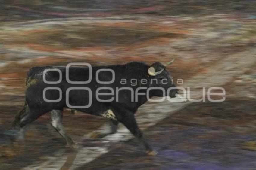 TLAXCALA . CORRIDA DÍA DE MUERTOS