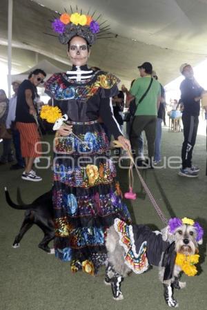 SAN ANDRÉS CHOLULA . CONCURSO DE DISFRACES