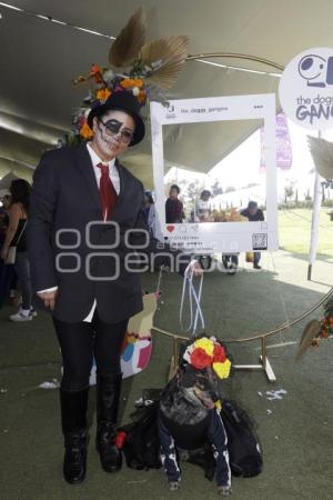 SAN ANDRÉS CHOLULA . CONCURSO DE DISFRACES