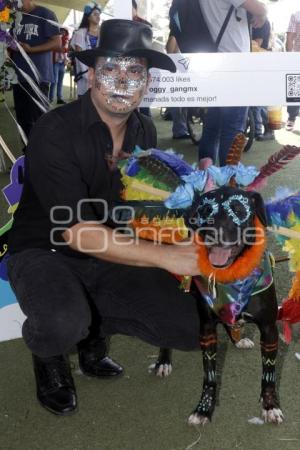 SAN ANDRÉS CHOLULA . CONCURSO DE DISFRACES