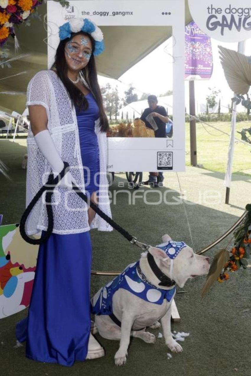 SAN ANDRÉS CHOLULA . CONCURSO DE DISFRACES