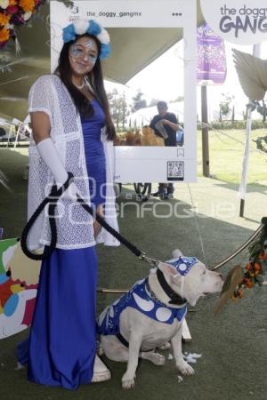 SAN ANDRÉS CHOLULA . CONCURSO DE DISFRACES