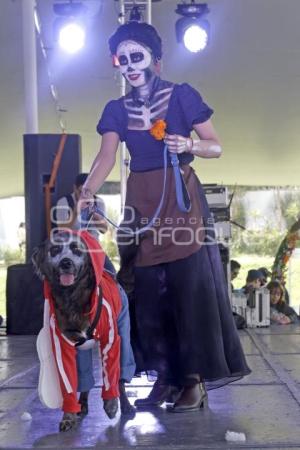 SAN ANDRÉS CHOLULA . CONCURSO DE DISFRACES