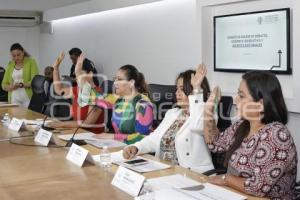 CONGRESO . COMITÉ DE DEBATES