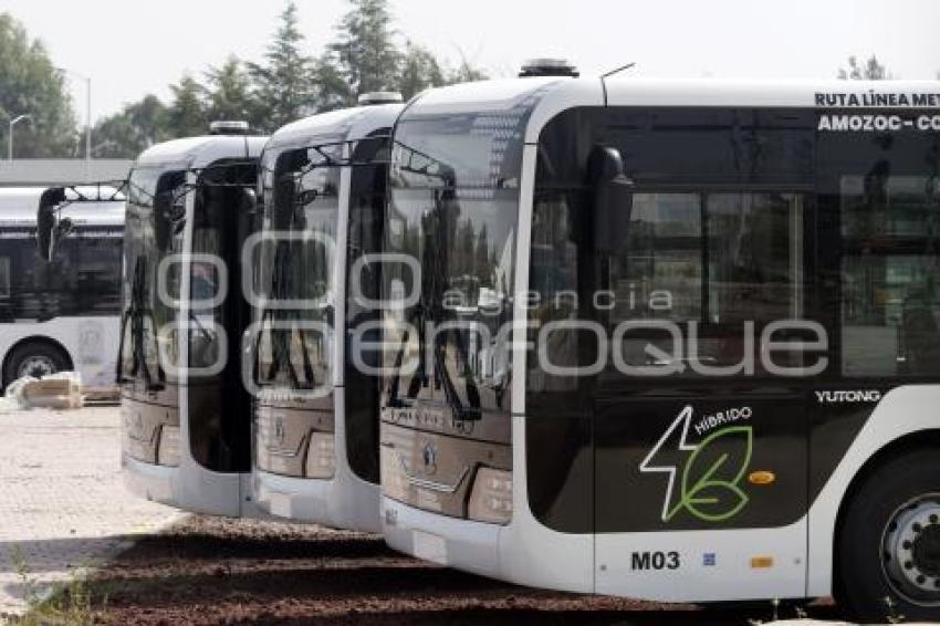 LÍNEA METROPOLITANA