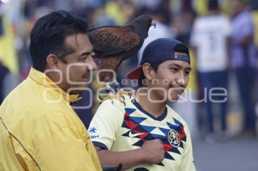 FÚTBOL . AMÉRICA VS PACHUCA