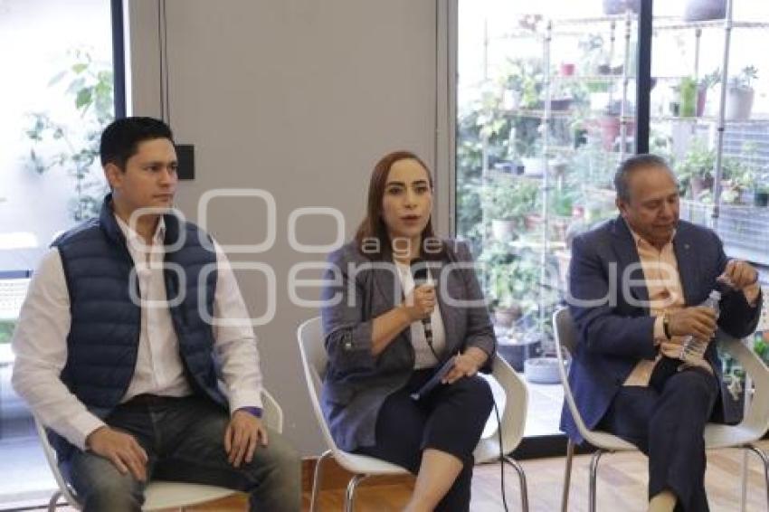PAN . ADRIANA DÁVILA