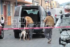 CATEO . 9 PONIENTE