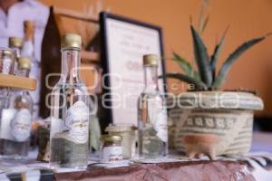 LAS HIJAS DEL MAGUEY