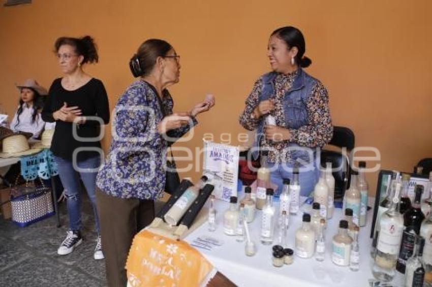 LAS HIJAS DEL MAGUEY
