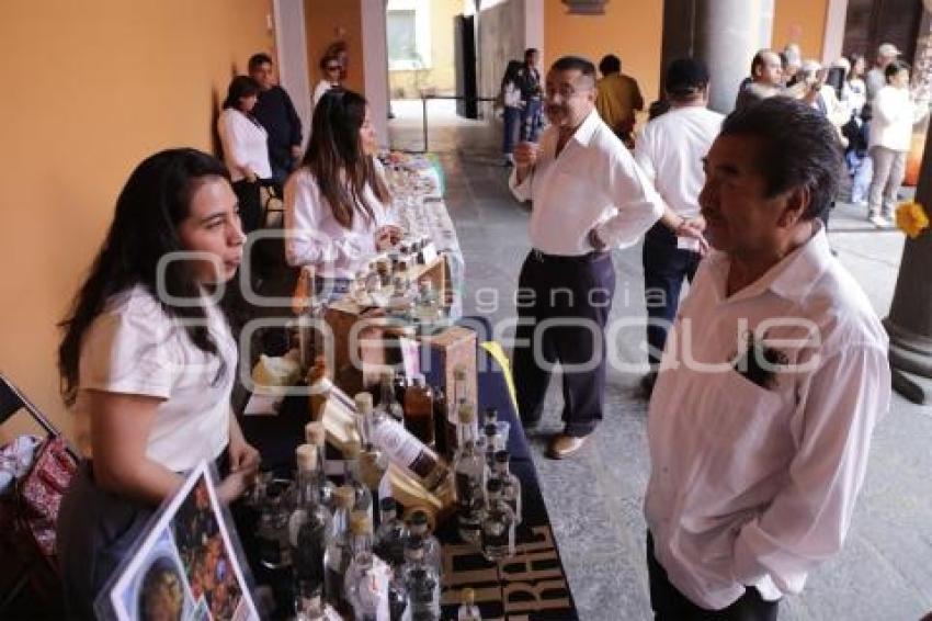 LAS HIJAS DEL MAGUEY