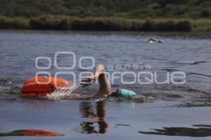 AGUAS ABIERTAS . FURIA