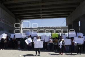 MANIFESTACIÓN BOSQUES DE AMALUCAN