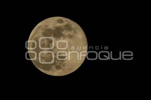 LUNA LLENA