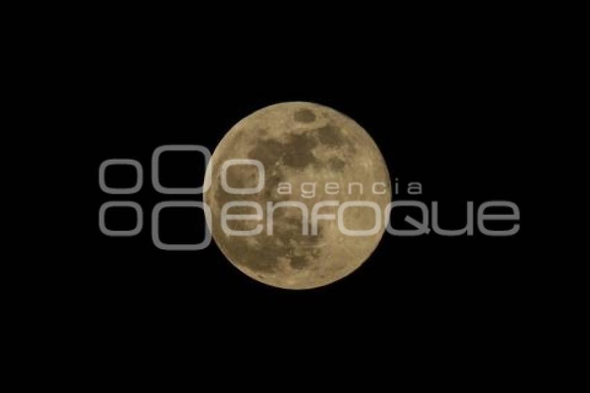 LUNA LLENA