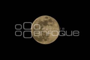 LUNA LLENA
