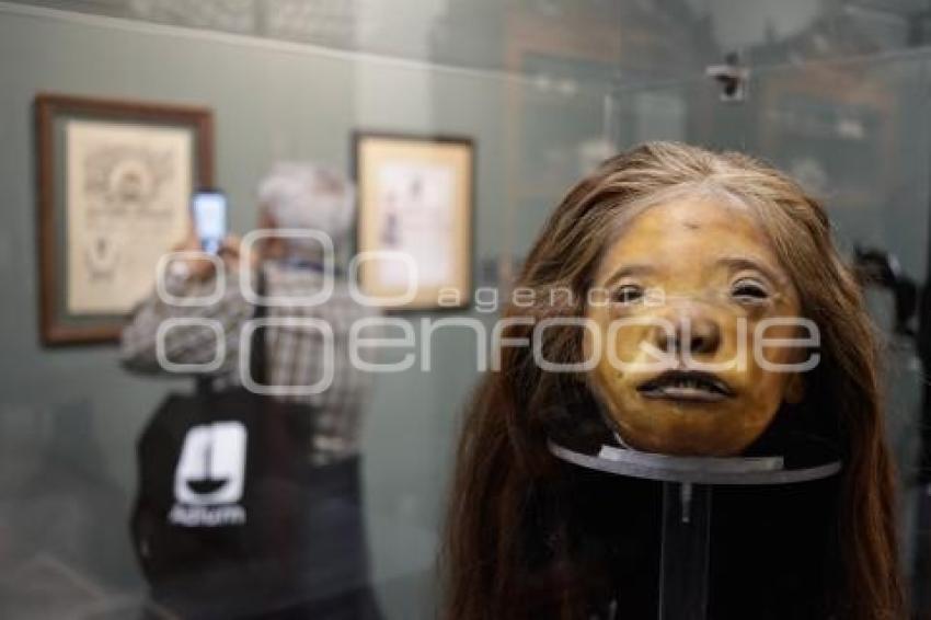 NOCHE DE MUSEOS
