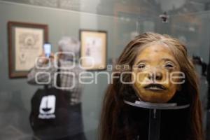 NOCHE DE MUSEOS