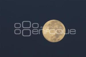 LUNA DE CASTOR