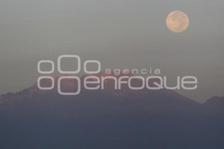 LUNA DE CASTOR
