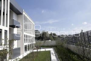 CONGRESO DEL ESTADO . NUEVA SEDE