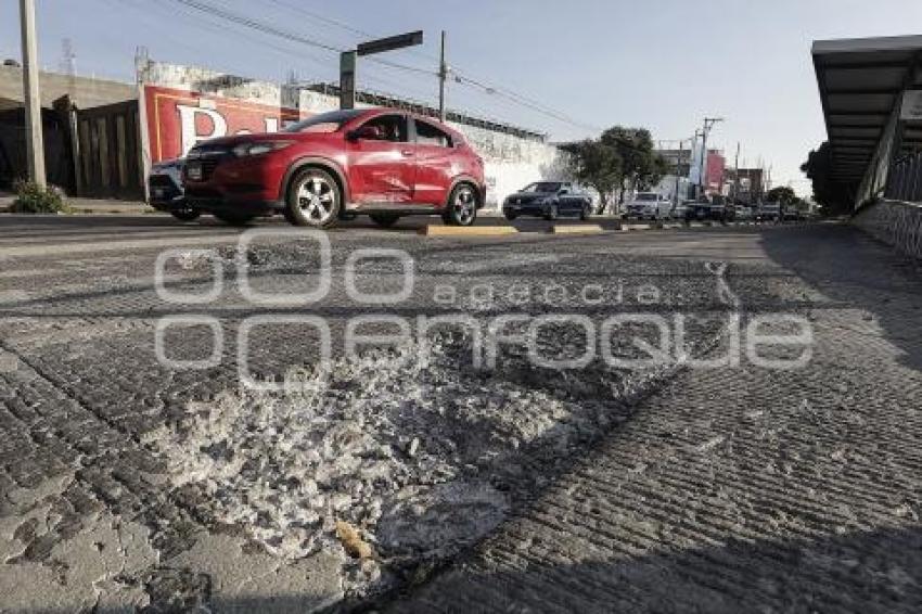 BACHES